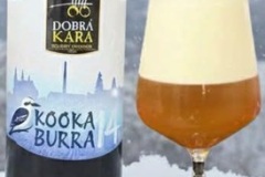 dobrakara_KOOKABURRA