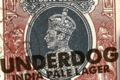 hauskrecht_Underdog