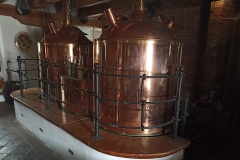 knezinek2023_Roman-Maldas-Stochl-03