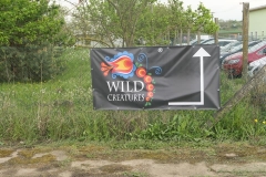 wildcreatures_budova_Minipivovarci