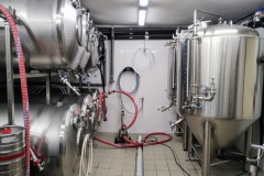 sosnova_Hynek-Rosenbaum03