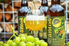 antos_Grape