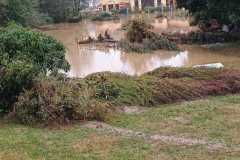 arogant-zari-2024-_02