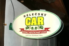 gal488_obr1363955545_62