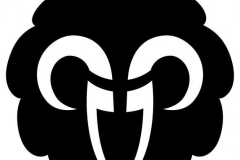 stezery_logo