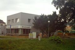 cechmanek_2013_01
