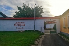 1_cejetice
