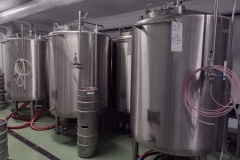 cervenyvlk2022_Hynek-Rosenbaum-02