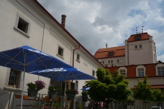 P1190217