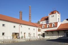 cvikov 1