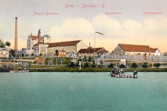 cvikov 8