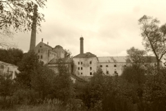 cvikov 9