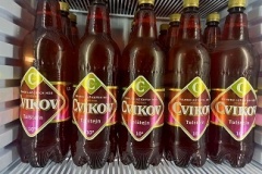 cvikov_Tolstejn
