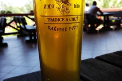 dasice_sklenice