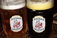 detenice_piva