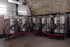 dobruska2022_Hynek-Rosenbaum-04