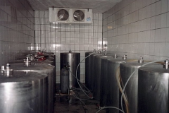 Dolní Sklenov M.Povýšil červen 2004 01