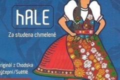 domazlicehAle