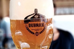 dubnak_D2