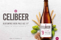 faltus_Celibeer