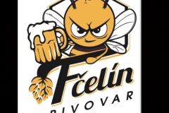 fcelin_logo