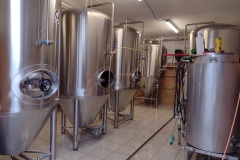 fenik_Hynek-Rosenbaum-01