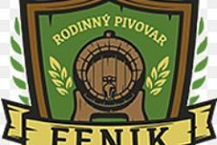 fenik_logo
