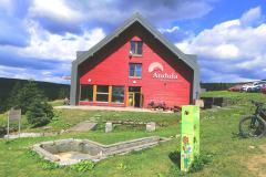 fries_Eduard-Serba-04