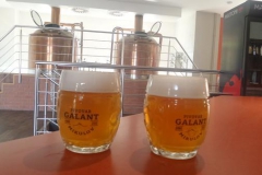 galant_varny01