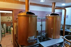 horsovskytyn_Hynek-Rosenbaum-04