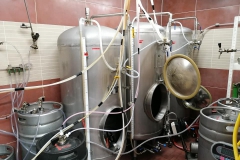 horsovskytyn_Hynek-Rosenbaum-06