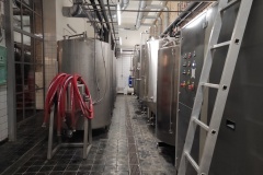 harry_Eduard-Serba-03