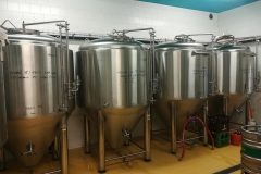 hejkal_Hynek-Rosenbaum-04