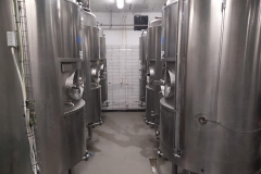 slavicin_Tom-Marek-04