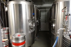 slavicin_technologie08