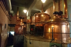 kocour_varny