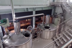 kojetin_Hynek-Rosenbaum-01