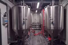 kojetin_Hynek-Rosenbaum-02