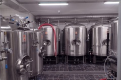 kojetin_Hynek-Rosenbaum-05