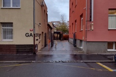 kolcavkanova_Hynek-Rosenbaum-01