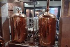 kolcavkanova_Hynek-Rosenbaum-03