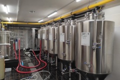 kolkovna_Eduard-Serba-01