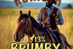 vojkovice_Brumby