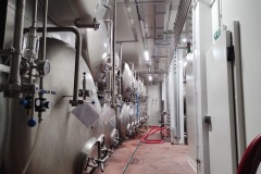 vojkovicekonicek2023_Hynek-Rosenbaum-06