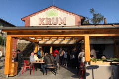krum_budova