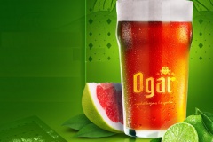 Ogar_MosaicAPA
