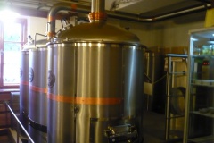 Karviná-Larische-2013-06