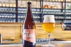 libertas_APA11