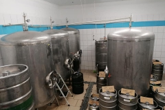 svatovar_Hynek-Rosenbaum‎-04