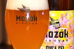 mazak_Salty-Sumac-Saison